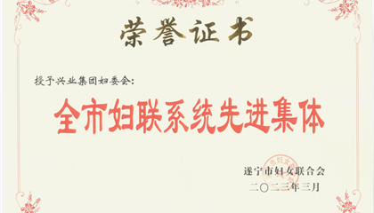 喜報(bào)！興業(yè)集團(tuán)婦委會(huì)榮獲“全市婦聯(lián)系統(tǒng)先進(jìn)集體”榮譽(yù)稱號(hào)